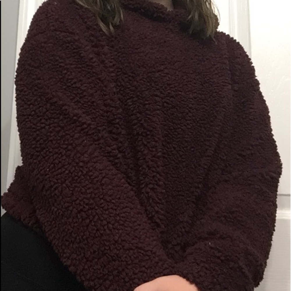 cropped Sherpa